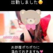 ヒメ日記 2025/01/17 09:30 投稿 なお SUZUME