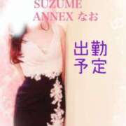 ヒメ日記 2025/02/08 21:20 投稿 なお SUZUME