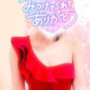 ヒメ日記 2025/02/10 18:03 投稿 なお SUZUME