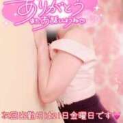 ヒメ日記 2025/02/17 20:31 投稿 なお SUZUME