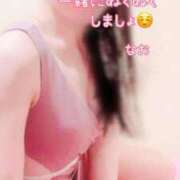 ヒメ日記 2025/02/20 12:01 投稿 なお SUZUME