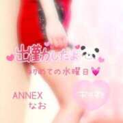 ヒメ日記 2025/02/26 09:15 投稿 なお SUZUME