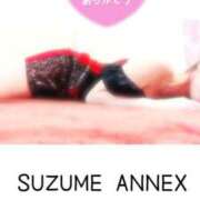 ヒメ日記 2025/03/01 12:01 投稿 なお SUZUME