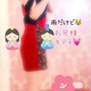 ヒメ日記 2025/03/03 09:30 投稿 なお SUZUME