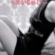 ヒメ日記 2025/03/06 16:35 投稿 なお SUZUME