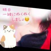 ヒメ日記 2025/03/16 12:01 投稿 なお SUZUME