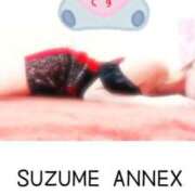 ヒメ日記 2025/03/17 09:00 投稿 なお SUZUME