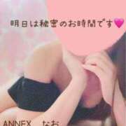 ヒメ日記 2025/03/19 12:01 投稿 なお SUZUME