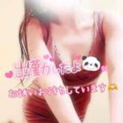 ヒメ日記 2025/03/20 09:15 投稿 なお SUZUME