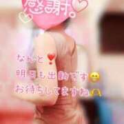 ヒメ日記 2025/03/20 15:55 投稿 なお SUZUME