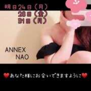 ヒメ日記 2025/03/23 11:11 投稿 なお SUZUME