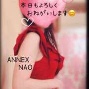 ヒメ日記 2025/03/24 09:30 投稿 なお SUZUME