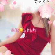 ヒメ日記 2025/03/31 09:30 投稿 なお SUZUME