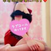 ヒメ日記 2025/04/10 18:30 投稿 なお SUZUME