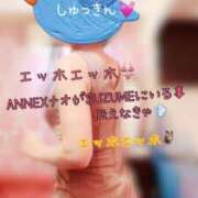 ヒメ日記 2025/04/11 09:00 投稿 なお SUZUME