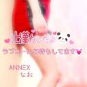 ヒメ日記 2025/04/16 09:31 投稿 なお SUZUME