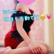 ヒメ日記 2025/04/16 19:41 投稿 なお SUZUME