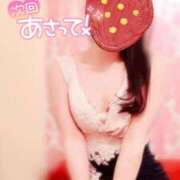 ヒメ日記 2025/04/21 17:11 投稿 なお SUZUME