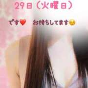 ヒメ日記 2025/04/23 19:59 投稿 なお SUZUME