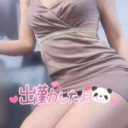 ヒメ日記 2025/04/29 09:31 投稿 なお SUZUME