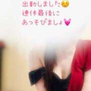 ヒメ日記 2025/05/06 09:30 投稿 なお SUZUME