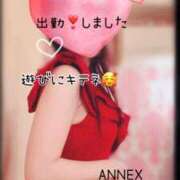 ヒメ日記 2025/05/09 09:30 投稿 なお SUZUME