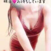 ヒメ日記 2025/05/15 11:01 投稿 なお SUZUME