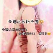 ヒメ日記 2025/05/20 12:03 投稿 なお SUZUME