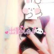 ヒメ日記 2025/05/30 09:30 投稿 なお SUZUME