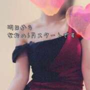 ヒメ日記 2025/06/05 12:02 投稿 なお SUZUME