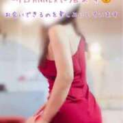 ヒメ日記 2025/06/12 12:15 投稿 なお SUZUME