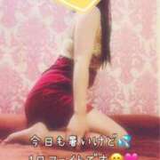 ヒメ日記 2025/07/03 09:30 投稿 なお SUZUME