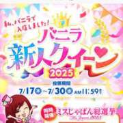 ヒメ日記 2025/07/17 13:27 投稿 なお SUZUME