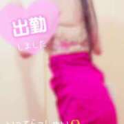 ヒメ日記 2025/08/01 09:00 投稿 なお SUZUME