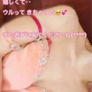 ヒメ日記 2025/08/22 18:46 投稿 なお SUZUME