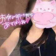 ヒメ日記 2025/09/03 14:34 投稿 なお SUZUME