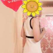 ヒメ日記 2025/09/19 09:00 投稿 なお SUZUME