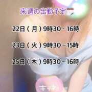 ヒメ日記 2025/09/20 23:20 投稿 なお SUZUME