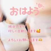 ヒメ日記 2025/09/23 09:00 投稿 なお SUZUME