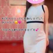 ヒメ日記 2025/09/23 17:42 投稿 なお SUZUME