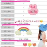 ヒメ日記 2025/10/04 12:04 投稿 なお SUZUME