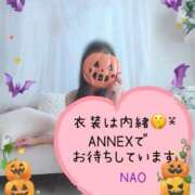 ヒメ日記 2025/10/20 09:30 投稿 なお SUZUME