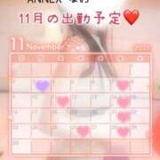 ヒメ日記 2025/11/01 14:56 投稿 なお SUZUME