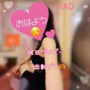 ヒメ日記 2025/11/03 09:15 投稿 なお SUZUME