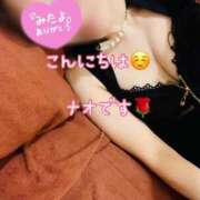 ヒメ日記 2025/11/03 13:00 投稿 なお SUZUME