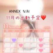 ヒメ日記 2025/11/04 22:10 投稿 なお SUZUME