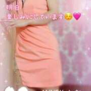 ヒメ日記 2025/11/13 12:02 投稿 なお SUZUME