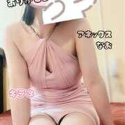 ヒメ日記 2025/11/14 11:30 投稿 なお SUZUME