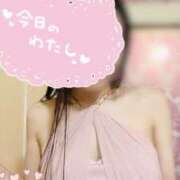 ヒメ日記 2025/11/21 09:00 投稿 なお SUZUME