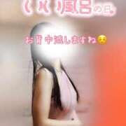 ヒメ日記 2025/11/26 12:01 投稿 なお SUZUME